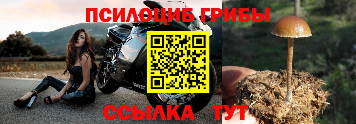 Галлюциногенные грибы прущие грибы  Вход с VPN  Галлюциногенные грибы прущие грибы  купить закладку  Железногорск 